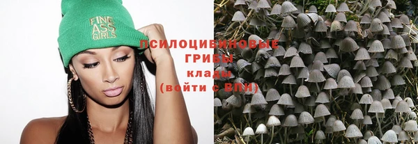 a pvp Абинск