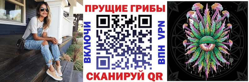 Псилоцибиновые грибы Magic Shrooms  купить наркоту  mega как зайти  Мещовск 