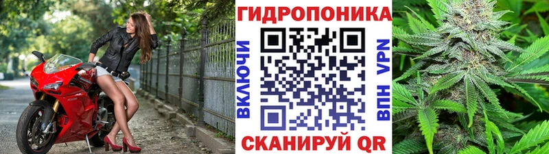 Шишки марихуана семена  это клад  Мещовск  цена наркотик 